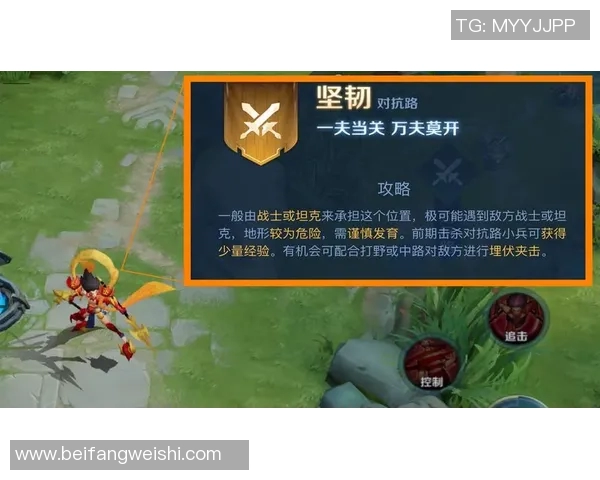 王者荣耀深度解析IG战队防反策略与战术运用的成功之道